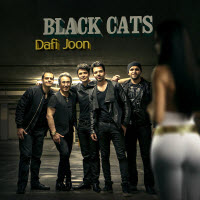 Black Cats