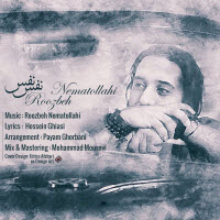 Roozbeh Nematollahi