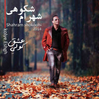 Shahram Shokoohi
