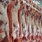 ارز واردات 170 هزار تن گوشت قرمز اختصاص یافت
