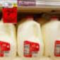 U.S. orders cow testing for bird flu after grocery milk tests positive