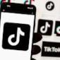 TikTok has promised to sue over the potential US ban. What's the legal outlook?