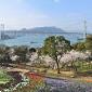 زیبایی پارک هینویاما در ژاپن (فیلم)