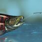 کشف جدید دیرینه‌شناسان: ماهی غول‌پیکر با دندان‌های عاج‌مانند!
