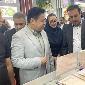 25 Foreign Trade Delegations Attend Iran Expo 2024