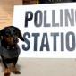 Voting underway at local polls in England and Wales