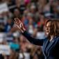 7 Reasons Why CEOs Are Excited About Kamala Harris