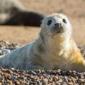 National Trust warns UK's most precious heritage at risk from extreme weather