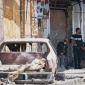 ‌Clashes Erupt in Damascus Outskirts, Killing 9