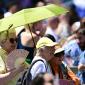Europe Heat Wave Drives Record-High Temperatures, Prompting Health Alerts