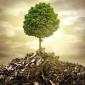 ‘Nature, the silent part in wars’