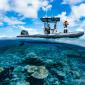 The Ocean Still Holds Mysteries. That’s Why We Must Save It