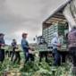 The EU gave Romania's migrant workers the chance to build a new life. Why are they turning against it? | Raluca Besliu