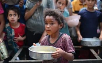 Int’l Charities Demand Shutdown of Israeli-Backed Gaza Aid Group over Deadly Repression