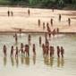 ‘We don’t want contact because you are bad’: loggers close in on uncontacted people in Peruvian Amazon