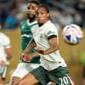 João Pedro makes early mark for Chelsea but Blues forwards must avoid seeing red