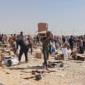 Gaza aid workers overwhelmed by ‘mass casualty incidents’ at food distribution sites