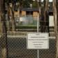Palestinian woman, 61, who fled Gaza detained by authorities after pre-dawn raid in Sydney
