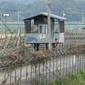 North Korean defector to sue Kim Jong-un alleging torture and sexual violence in regime’s detention facilities