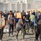 Nearly 800 killed at Gaza food hubs and aid convoy routes since end of May, UN says