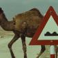 IAF to show Chris Marker’s “Description of a Struggle”