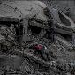 Yemen Condemns UN Envoy’s Bias toward Israel, Slams Silence on Gaza Atrocities