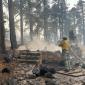 Arizona Governor Seeks Investigation of Federal Handling of Grand Canyon Fire