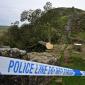 Men Who Cut Down Beloved Tree in England Get More Than 4 Years in Prison