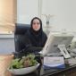 ۸۰ ویلچر برقی به معلولان نیازمند استان سمنان اهدا شد