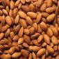 Iran stands at 10th place in global almond exports