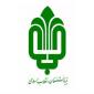 اتصال بلوار دلاوران در شرق تهران به بزرگراه امام علی