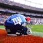 NFL owners approve sale of 10% of the New York Giants to Julia Koch and her family