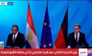 وزیر خارجه مصر: بازسازی غزه بخشی جدایی‌ناپذیر از طرح صلح ترامپ است