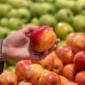 ‘Pesticide cocktails’ polluting apples across Europe, study finds